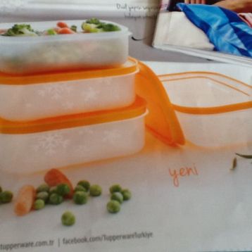 Tupperware Alaska 4'lü Saklama Kabı
