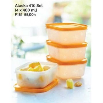 Tupperware Alaska 4'lü Saklama Kabı