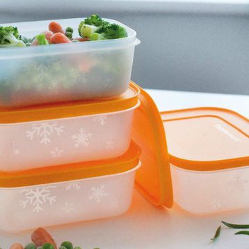 Tupperware Alaska 4'lü Saklama Kabı