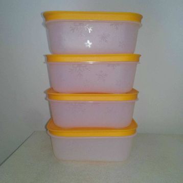 Tupperware Alaska 4'lü Saklama Kabı