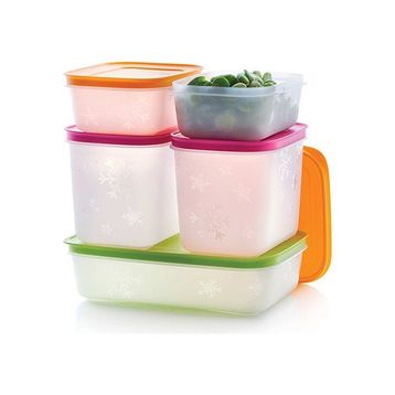 Tupperware Alaska 5'li Buzluk Saklama Kabı