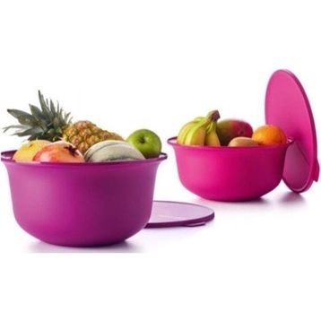 Tupperware Aloha 2'li 450 ml Saklama Kabı