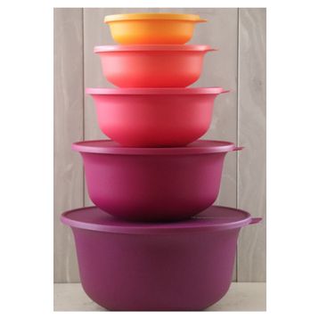 Tupperware Aloha 5'li Saklama Kabı