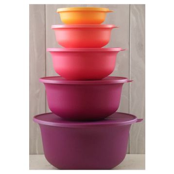 Tupperware Aloha 5'li Saklama Kabı