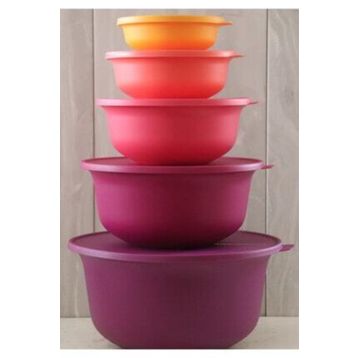 Tupperware Aloha 5'li Saklama Kabı