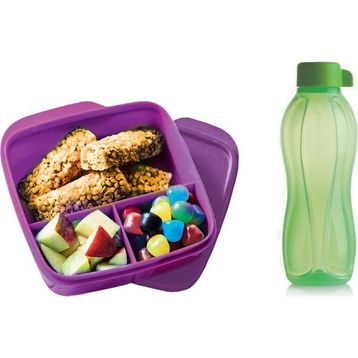 Tupperware Bölmeli Eko Şişe 500 ml Yeşil Beslenme Seti
