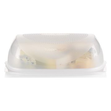 Tupperware Büyük Boy Peynir Dünyası