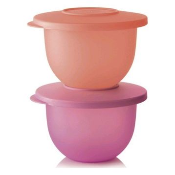 Tupperware Eko 2x500 ml Mor Turuncu Saklama Kabı