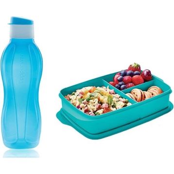 Tupperware Eko 750 ml Mavi Şişe Suluk ve Bölmeli 1 lt Beslenme Kutusu