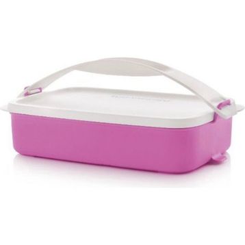 Tupperware Gezgin 900 ml Saklama Kabı