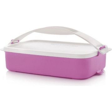 Tupperware Gezgin 900 ml Saklama Kabı