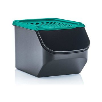Tupperware Kiler Midi 3 lt Turkuaz Patates Soğan Saklama Kabı