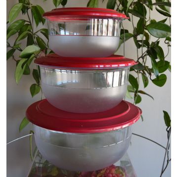 Tupperware Kristalin 4'lü Saklama Kabı
