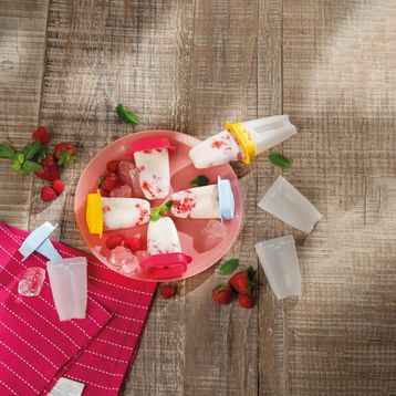 Tupperware Lolibuz 6'lı Dondurma Kabı