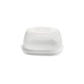 Tupperware Mini Boy Peynir Dünyası