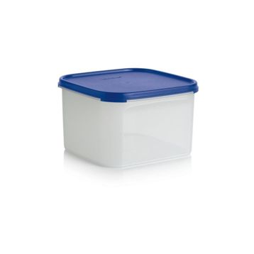 Tupperware Oval 2.6 lt Kuru Gıda Saklama Kabı