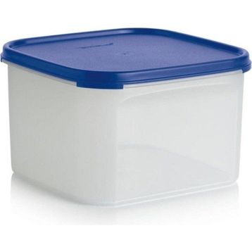 Tupperware Oval 2.6 lt Kuru Gıda Saklama Kabı