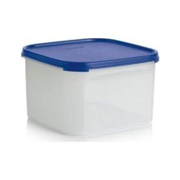 Tupperware Oval 2.6 lt Kuru Gıda Saklama Kabı
