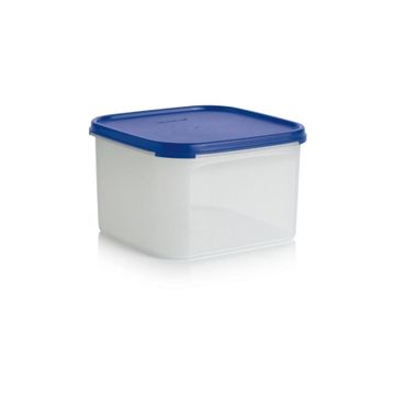 Tupperware Oval 2.6 lt Kuru Gıda Saklama Kabı