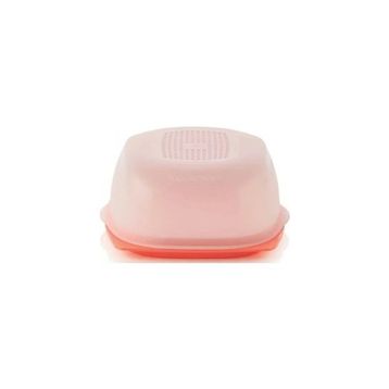 Tupperware Peynir Dünyası Küçük Boy Peynir Saklama ve Servis Kabı