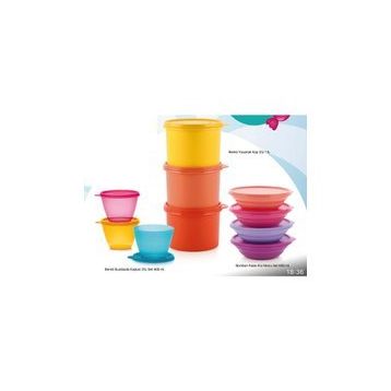Tupperware Renkli 10'lu Saklama Kabı