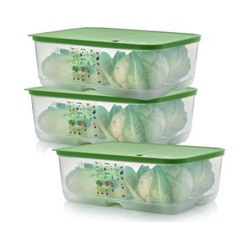 Tupperware Sera 3x9,9 lt Saklama Kabı