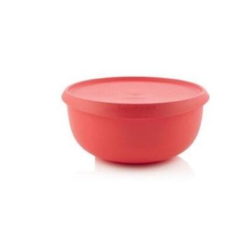 Tupperware Yonca 4.3 lt Saklama Kabı