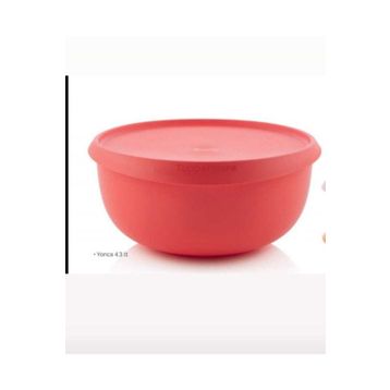 Tupperware Yonca 4.3 lt Saklama Kabı