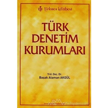 Türk Denetim Kurumları - Başak Akgül