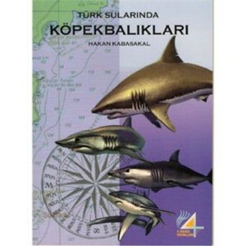Türk Sularında Köpekbalıkları Hakan Kabasakal