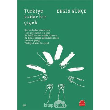 TÜRKİYE KADAR BIR ÇİÇEK - ERGIN GÜNÇE