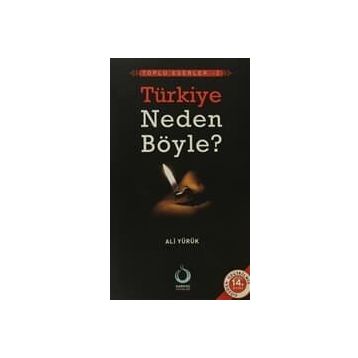 TÜRKİYE NEDEN BÖYLE? - ALI YÜRÜK