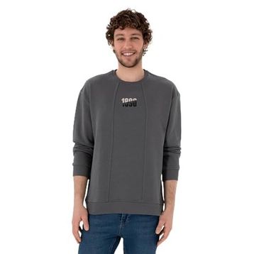U.S. Polo Assn. 50293430-VR006 Antrasit Erkek Sweatshirt
