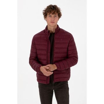 U.S. Polo Assn. 50310050-VR177 Plum Erkek Mont