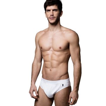 U.S. Polo Assn. 80057 Slip Stretch Brief Külot