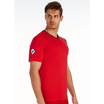 U.S. Polo Assn. US.01.80151 Kırmızı V Yaka Erkek T-Shirt