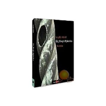 ÜÇ BAŞLI EJDERHA - LEYLÂ ERBIL (ISBN:9789756287507)