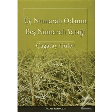 Üç Numaralı Odanın Beş Numaralı Yatağı - Çağatay Güler