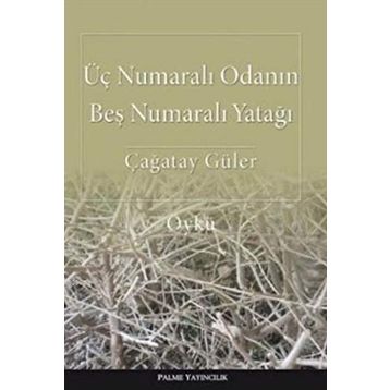 Üç Numaralı Odanın Beş Numaralı Yatağı - Çağatay Güler