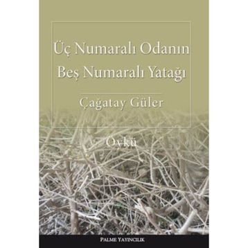 Üç Numaralı Odanın Beş Numaralı Yatağı - Çağatay Güler