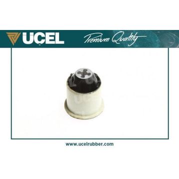 Üçel 10733 Renault Clio Torsiyon Burcu Arka
