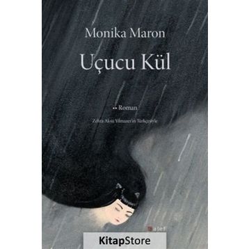 Uçucu Kül - Monika Maron
