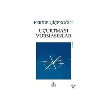 Uçurtmayı Vurmasınlar - Feride Çiçekoğlu