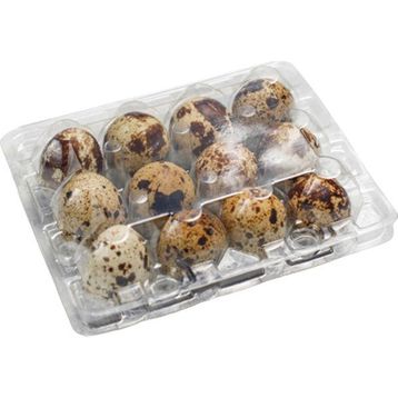 Ucuz Viyol 200 Adet Bıldırcın Yumurtası Viyolü