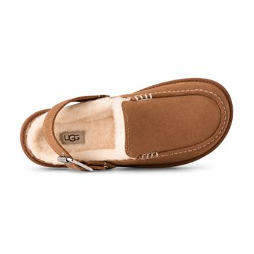UGG Goldenstar Evelina Clog 1180251-CHE Chestnut Taba Kadın Terlik