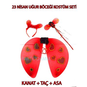 Uğur Böceği Kanat Seti