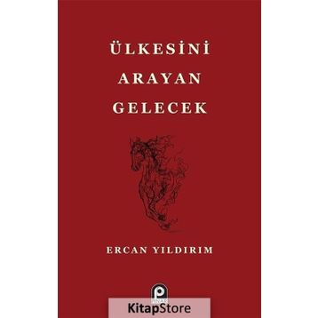 Ülkesini Arayan Gelecek - Ercan Yıldırım