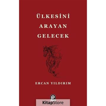 Ülkesini Arayan Gelecek - Ercan Yıldırım