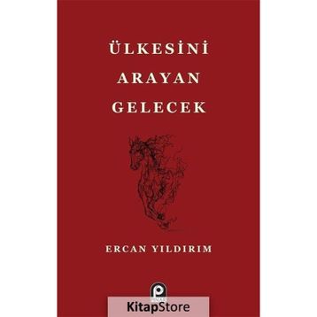 Ülkesini Arayan Gelecek - Ercan Yıldırım