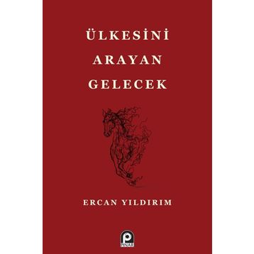 Ülkesini Arayan Gelecek - Ercan Yıldırım